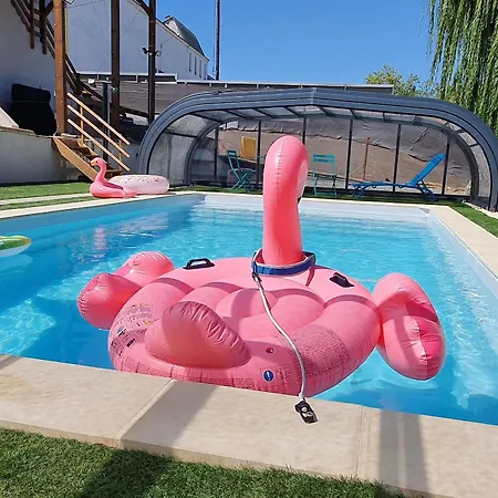 Tatil Evi Familial Avec Piscine Privative Chauffee, Terrasse Sur Le Loir Et Proche Du Zoo De - Fr-1-410-329 *